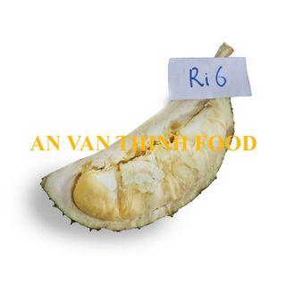 SẦU RIÊNG ĐÔNG LẠNH SẦU RIÊNG RI 6 ĐÔNG LẠNH IQF DURIAN Ri6 FROZEN DURIAN Ri6 - AN VAN THINH FOOD