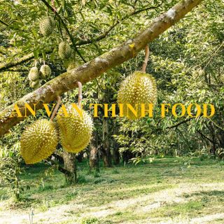 SẦU RIÊNG ĐÔNG LẠNH SẦU RIÊNG RI 6 ĐÔNG LẠNH IQF DURIAN Ri6 FROZEN DURIAN Ri6 - AN VAN THINH FOOD