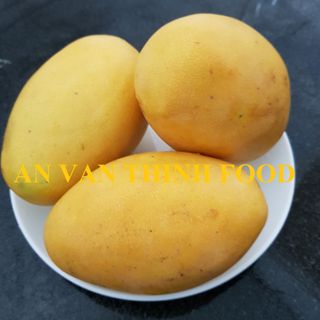 XOÀI ĐÔNG LẠNH XOÀI KEO ĐÔNG LẠNH NỬA TRÁI / CẮT HẠT LỰU / CẮT LÁT / XAY/ ... IQF MANGO FROZEN MANGO KAEW MANGO KAEW