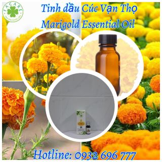 Tinh Dầu Cúc Vạn Thọ - Marigold Essential Oil 100% Thiên Nhiên Nguyên Chất - 50ml giá sỉ