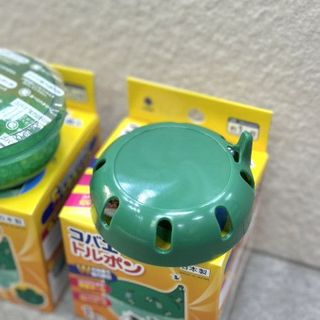 Hộp gel diệt ruồi giấm (dĩn), côn trùng Kokubo nhập khẩu từ Nhật Bản