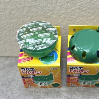 Hộp gel diệt ruồi giấm (dĩn), côn trùng Kokubo nhập khẩu từ Nhật Bản
