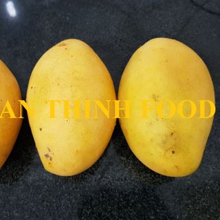 XOÀI KEO / XOÀI CHU / XOÀI CÁT CHU FRESH - AN VẠN THỊNH FOOD