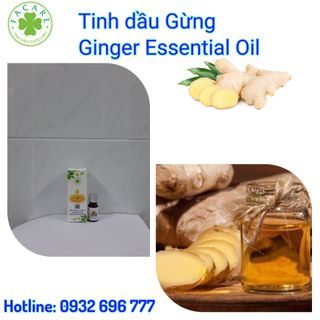 Tinh dầu Gừng Ginger essential oil giúp giữ ấm cơ thể, giảm mỡ bụng - 100ml giá sỉ