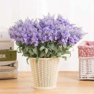 Set 5 cành hoa Lavender