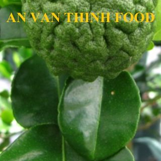CHANH THÁI KAFFIR, CHANH ĐÔNG LẠNH NƯỚC CHANH ĐÔNG LẠNH CHANH KAFFIR IQF LIME FROZEN LIME KAFFIR - AN VAN THINH FOOD