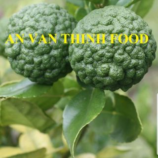 CHANH THÁI KAFFIR, CHANH ĐÔNG LẠNH NƯỚC CHANH ĐÔNG LẠNH CHANH KAFFIR IQF LIME FROZEN LIME KAFFIR - AN VAN THINH FOOD