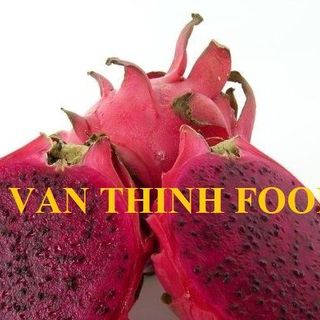 THANH LONG ĐỎ THANH LONG TRẮNG FRESH RED DRAGON FRUIT FRESH WHITE DRAGON FRUIT FRESH DRAGON FRUIT  - AN VAN THINH FOOD