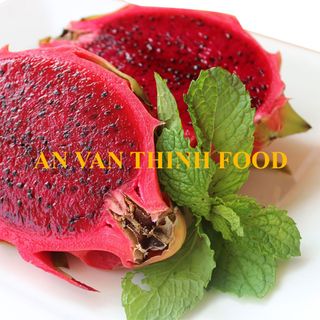 THANH LONG ĐỎ THANH LONG TRẮNG FRESH RED DRAGON FRUIT FRESH WHITE DRAGON FRUIT FRESH DRAGON FRUIT  - AN VAN THINH FOOD