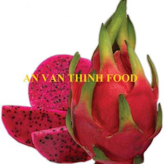 THANH LONG ĐỎ ĐÔNG LẠNH IQF RED DRAGON FRUIT FROZEN RED DRAGON FRUIT - AN VAN THINH FOOD