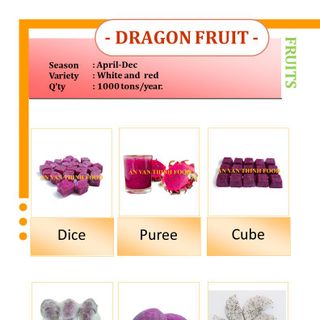 THANH LONG ĐỎ ĐÔNG LẠNH IQF RED DRAGON FRUIT FROZEN RED DRAGON FRUIT - AN VAN THINH FOOD