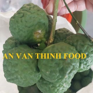 CHANH TƯƠI, NƯỚC CHANH, CHANH KHÔNG HẠT, CHANH THÁI FRESH LIME KAFFIR FRESH LIME SEEDLESS - AN VAN THINH FOOD