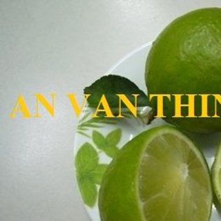 CHANH ĐÔNG LẠNH NƯỚC CHANH ĐÔNG LẠNH CHANH KHÔNG HẠT ĐÔNG LẠNH IQF LIME SEEDLESS FROZEN LIME SEEDLESS - AN VAN THINH FOOD