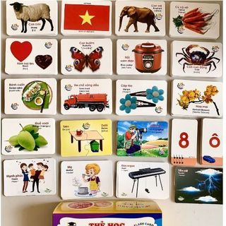 THẺ HỌC THÔNG MINH CHO BÉ 16 CHỦ ĐỀ