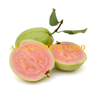 ỔI ĐÔNG LẠNH, ỔI TRẮNG ĐÔNG LẠNH, ỔI ĐỎ ĐÔNG LẠNH, IQF PINK GUAVA, FROZEN PINK GUAVA, IQF GUAVA, FROZEN GUAVA, IQF WHITE GUAVA, FROZEN WHITE GUAVA - AN VAN THINH FOOD