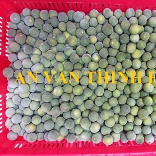 TẮC ĐÔNG LẠNH NƯỚC TẮC ĐÔNG LẠNH IQF CALAMANSI FROZEN CALAMANSI - AN VAN THINH FOOD