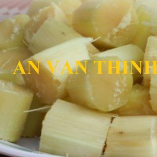 CÂY MÍA KHÚC MÍA MÍA TƯƠI FRESH SUGAR CANE - AN VAN THINH FOOD