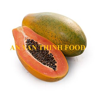 ĐU ĐỦ ĐÔNG LẠNH, ĐU ĐỦ ĐỎ ĐÔNG LẠNH, IQF RED PAPAYA, IQF PAPAYA, FROZEN RED PAPAYA, FROZEN PAPAYA - AN VAN THINH FOOD
