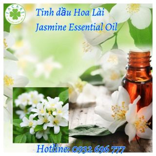 Tinh dầu Hoa Lài Jasmine essential oil giúp thơm phòng - 50ml giá sỉ