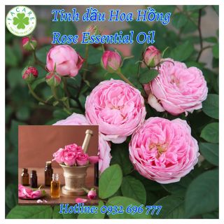 Tinh dầu Hoa Hồng rose essential oil lọ tinh dầu hoa hồng treo xe ô tô - 100ml giá sỉ