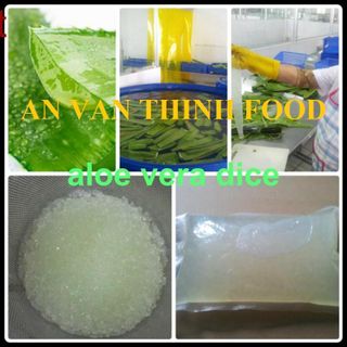 NHA ĐAM ĐÔNG LẠNH, LÔ HỘI ĐÔNG LẠNH, IQF ALOE VERA, FROZEN ALOE VERA TO EXPORT FROM AN VAN THINH FOOD COMPANY