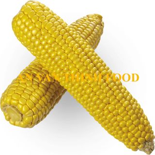 BẮP VÀNG ĐÔNG LẠNH, BẮP MỸ ĐÔNG LẠNH, HẠT BẮP ĐÔNG LẠNH, BẮP XAY ĐÔNG LẠNH, BẮP LUỘC ĐÔNG LẠNH, BẮP BỎ VỎ ĐÔNG LẠNH, IQF YELLOW CORN, FROZEN YELLOW CORN WHOLE / BOILED / GRATED / CORN KERNEL / PEELED / CUT ... TO EXPORT FROM AN VAN THINH FOOD COMPANY