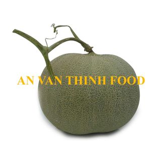 DƯA LƯỚI ĐÔNG LẠNH, IQF GOLD MELON, IQF GREEN MELON, FROZEN GOLD MELON DICE, FROZEN GREEN MELON DICE TO EXPORT FROM AN VAN THINH FOOD COMPANY