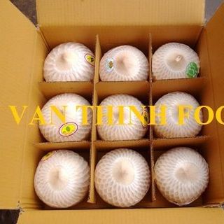 DỪA ĐÔNG LẠNH, NƯỚC CỐT DỪA ĐÔNG LẠNH, CƠM DỪA ĐÔNG LẠNH, DỪA XẮT HẠT LƯU ĐÔNG LẠNH, IQF COCONUT, FROZEN COCONUT DICE / GRATED/ CHUNK/ STRIPS/ ... TO EXPORT FROM AN VAN THINH FOOD COMPANY