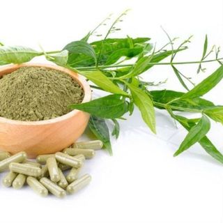 Chiết xuất Xuyên tâm liên - Nguyên liệu mỹ phẩm giá sỉ