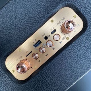 Loa Bluetooth Karaoke M4202 – Loa Xách Tay Kèm 2 Micro Không Dây Sang Trọng