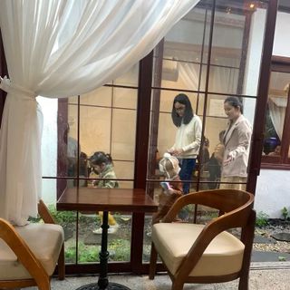 Sơn gỗ - Stain lau Sơn Lotus hệ nước, an toàn, không dung môi, không độc hại