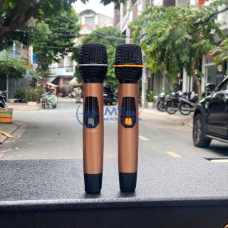 Loa Kéo AT T6800 - 2 Bass 40 Công Suất Lớn kèm 2 Micro