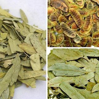 Cao khô phan tả diệp - Sự lựa chọn tốt cho sức khỏe tiêu hóa của bạn!