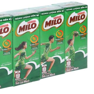 Sữa lúa mạch Milo to 180ml (48 hộp /Thùng)