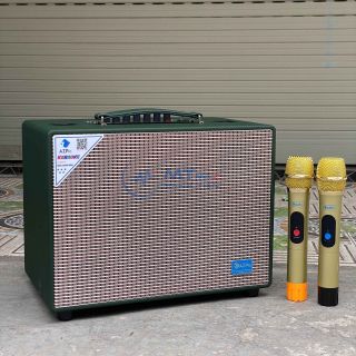 Loa Xách Tay Karaoke AZPro NK8 – Bass20 Công Suất 200W, Âm Thanh Hay