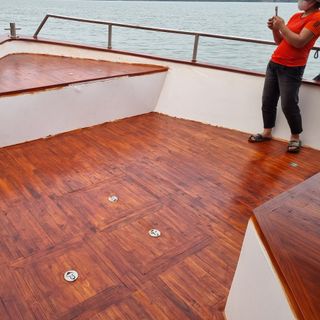 Sơn gỗ - Stain lau Sơn Lotus hệ nước, an toàn, không dung môi, không độc hại