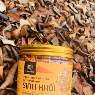 ĐÔNG TRÙNG HẠ THẢO VNHERBS 15GRAM - LOẠI ĐẸP SẤY THĂNG HOA