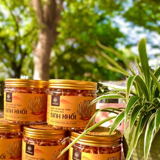 ĐÔNG TRÙNG HẠ THẢO VNHERBS 15GRAM - LOẠI ĐẸP SẤY THĂNG HOA