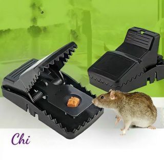 BẪY CHUỘT THÔNG MINH