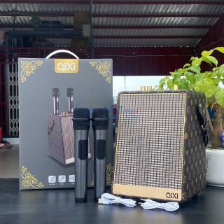 Loa Bluetooth Karaoke Qixi SK2050 - Bass Êm Pin 3.600mAh Kèm 2 Micro Không Dây
