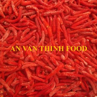 ỚT CHỈ THIÊN ĐỎ ĐÔNG LẠNH, ỚT ĐÔNG LẠNH, ỚT ĐỎ ĐÔNG LẠNH, IQF RED CHILLI VN, FROZEN RED CHILLI VN TO EXPORT FROM AN VAN THINH FOOD COMPANY