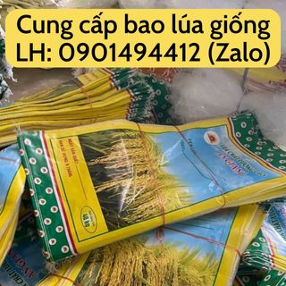 Bao lúa giống 40kg, hàng chất lượng có sẵn tại kho