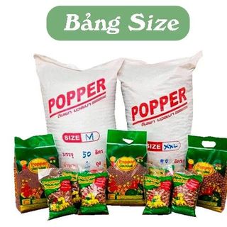 Đất nung popper nhập khẩu Thái Lan gói 1L