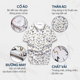 Áo thun polo nam, áo phông nam Polo Dept