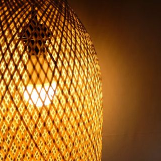 CHAO ĐÈN PHƯỢNG HOÀNG