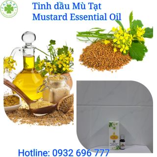 Tinh dầu Mù Tạt Mustard essential oil  - 50ml giá sỉ