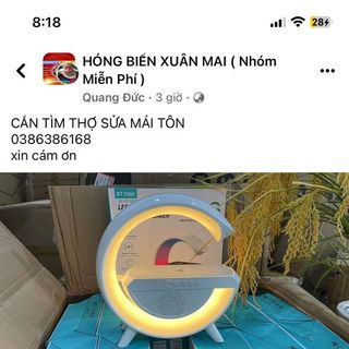 Loa chữ G