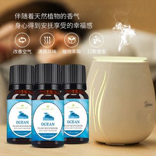 Tinh dầu 10ml giá sỉ