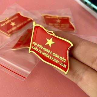 bán sỉ lẻ huy hiệu lá cờ đảng, cờ đỏ sao vàng việt nam,cung cấp huy hiệu đại hội hội đồng nhân dân,huy hiệu đại hội đảng chi bộ giá rẻ