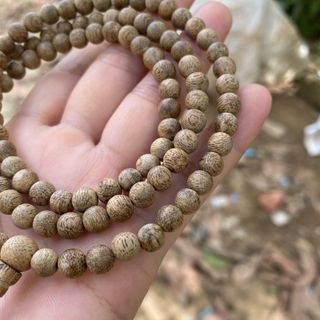 Trầm tốc việt